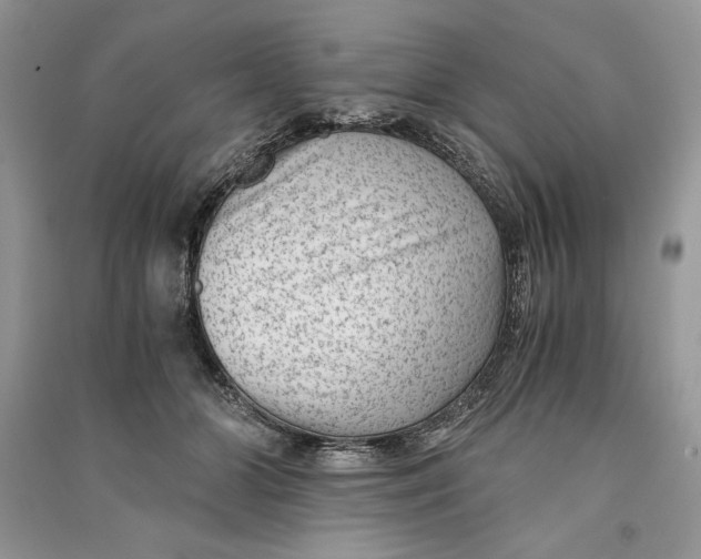 X0000090700510200708101445