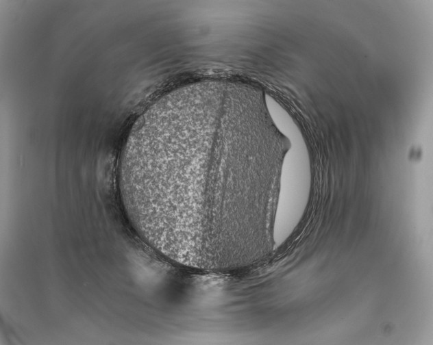 X0000090700511200708101445