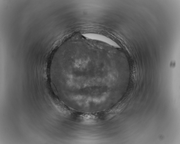 X0000090700512200708101445