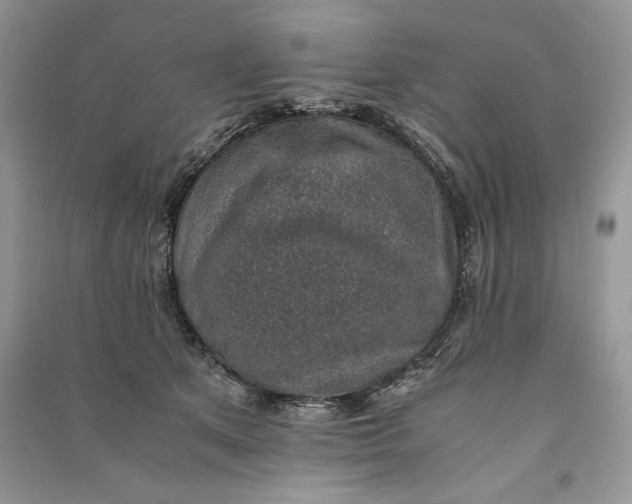 X0000090700513200708101445