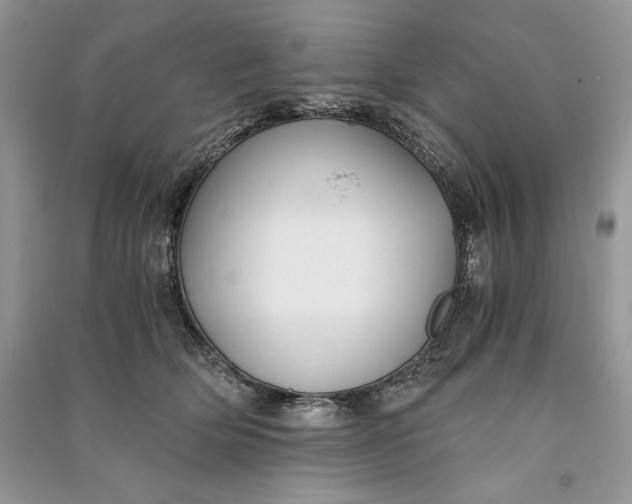 X0000090700514200708101445