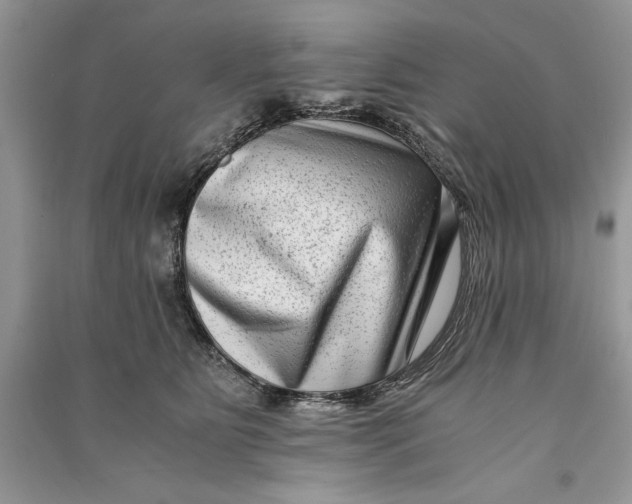 X0000090700515200708101445