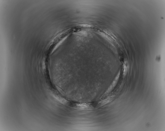 X0000090700516200708101445