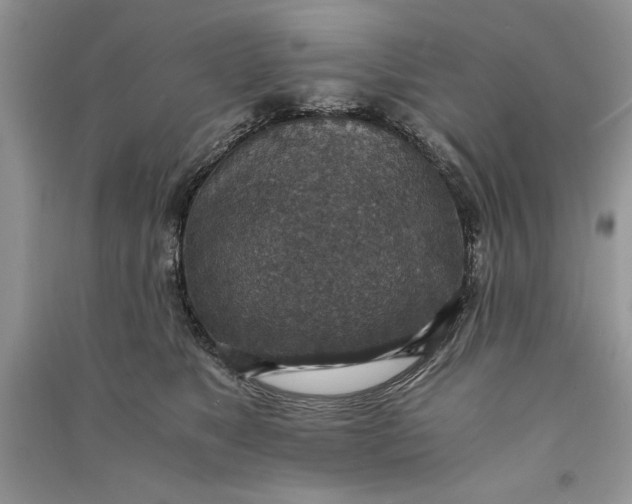 X0000090700517200708101445