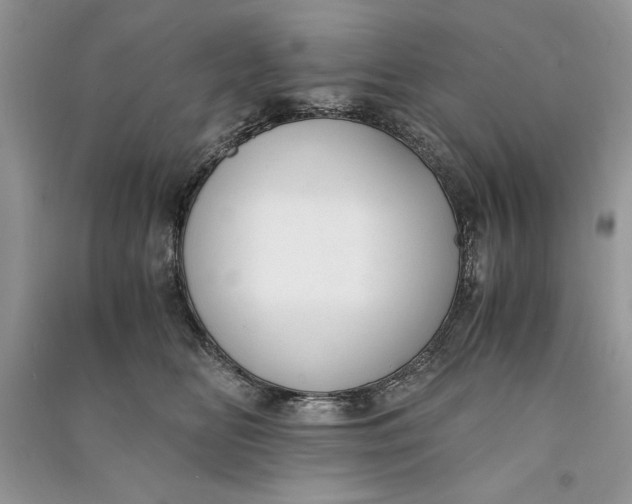 X0000090700518200708101445