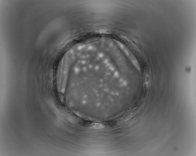 X0000090700519200708101445