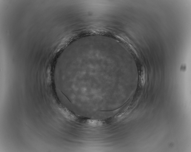 X0000090700520200708101445
