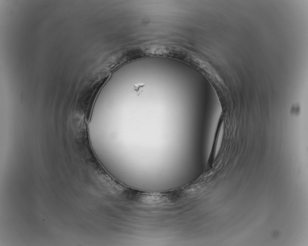 X0000090700521200708101445
