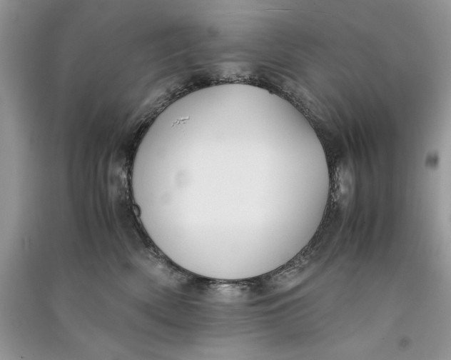 X0000090700522200708101445