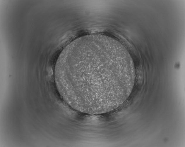 X0000090700523200708101445