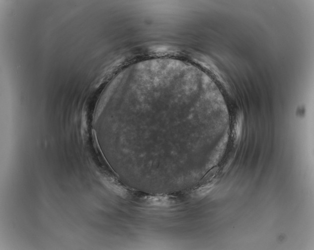 X0000090700524200708101445