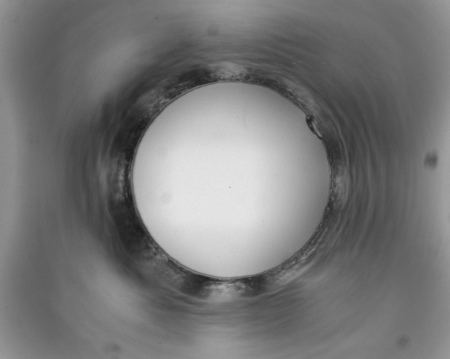 X0000090700525200708101445