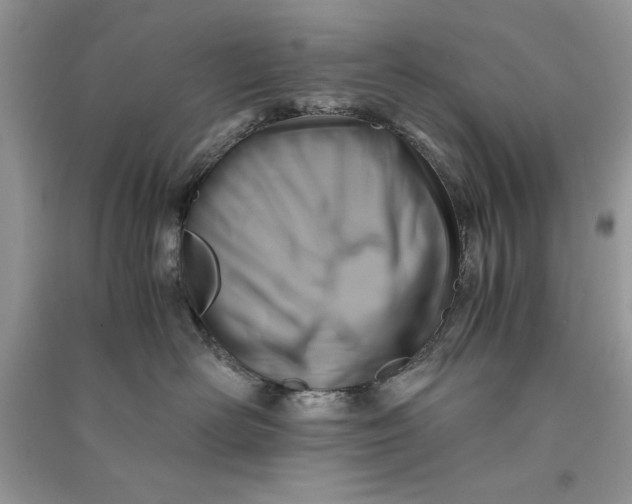 X0000090700526200708101444