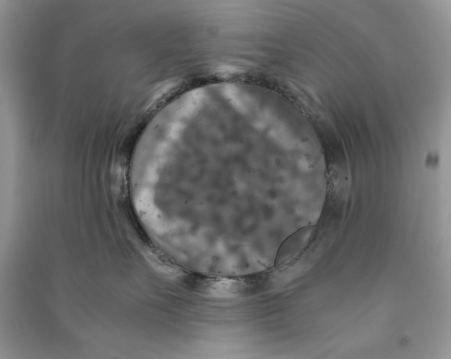 X0000090700527200708101444