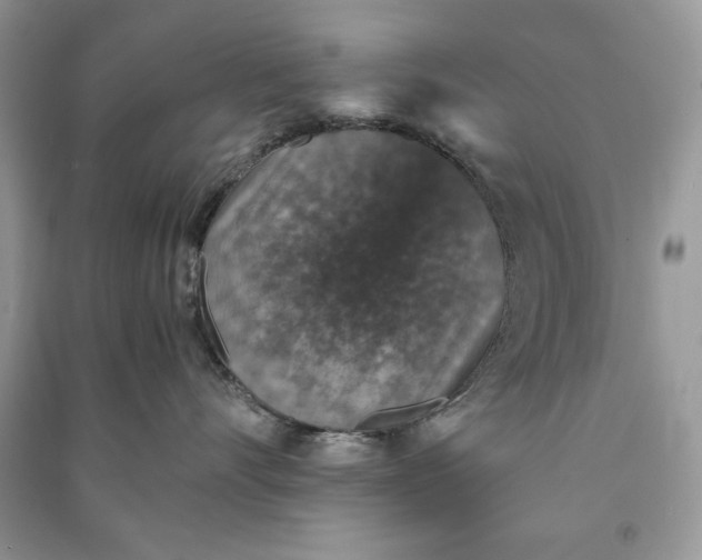 X0000090700528200708101444