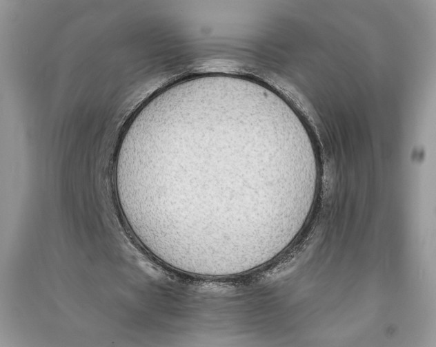 X0000090700529200708101444