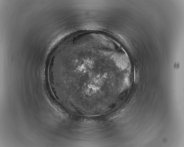 X0000090700531200708101444