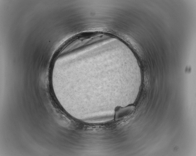X0000090700532200708101444
