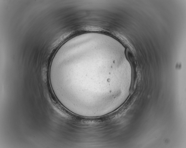 X0000090700533200708101444
