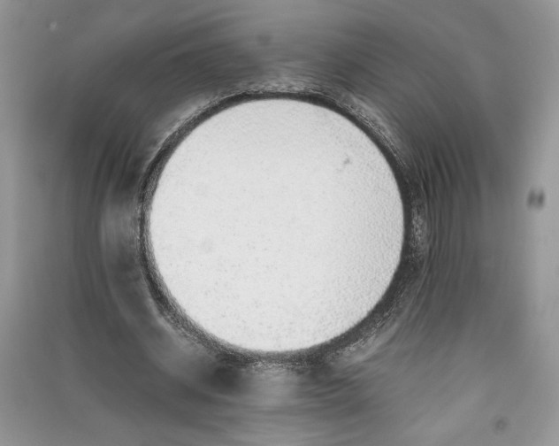 X0000090700534200708101444