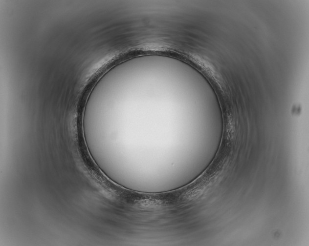 X0000090700535200708101444