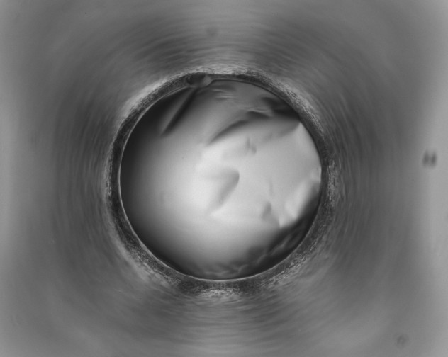 X0000090700536200708101444