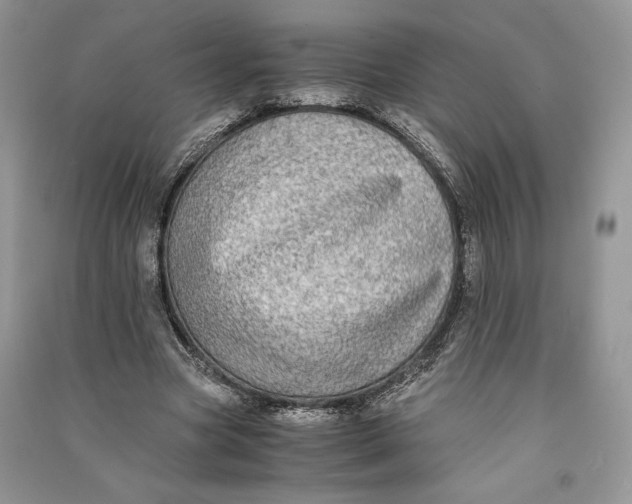 X0000090700537200708101444