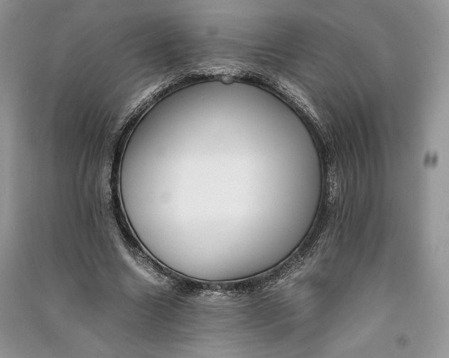 X0000090700538200708101444