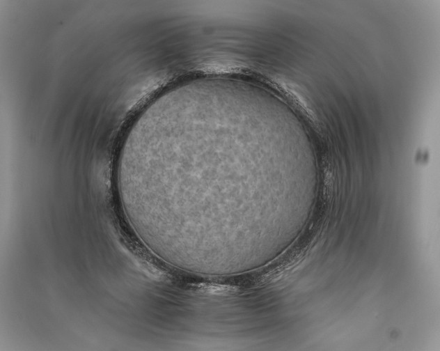 X0000090700539200708101444