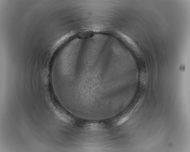 X0000090700540200708101444