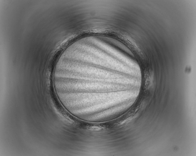 X0000090700542200708101444