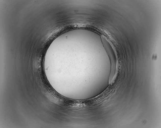 X0000090700543200708101444