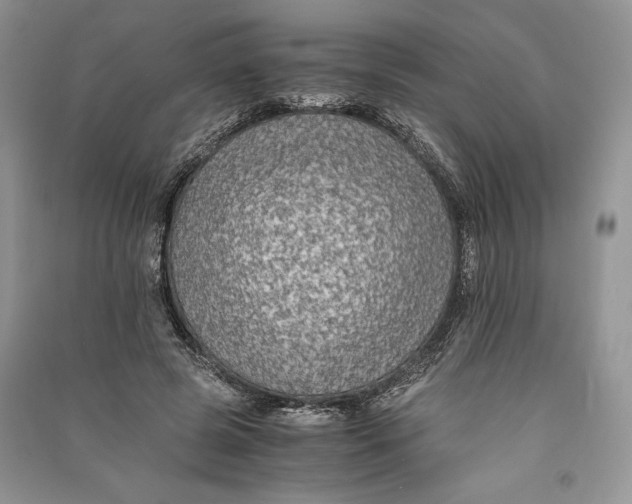 X0000090700545200708101444