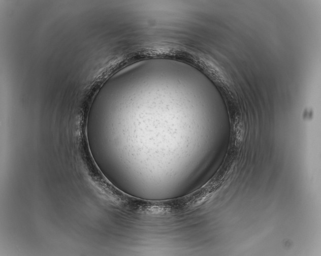 X0000090700546200708101444