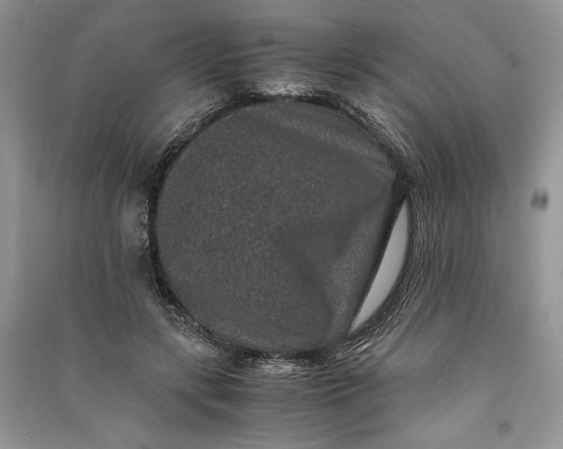 X0000090700547200708101444