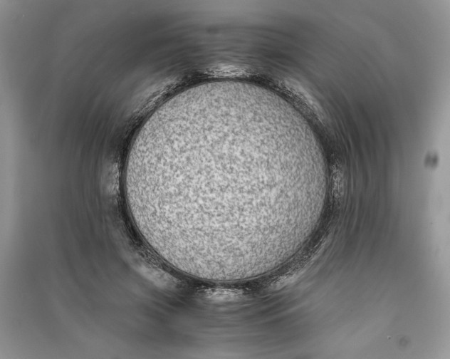 X0000090700549200708101444