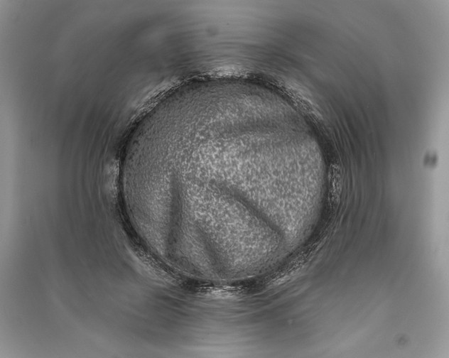 X0000090700550200708101444