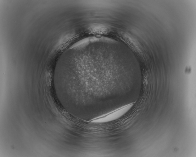 X0000090700551200708101444