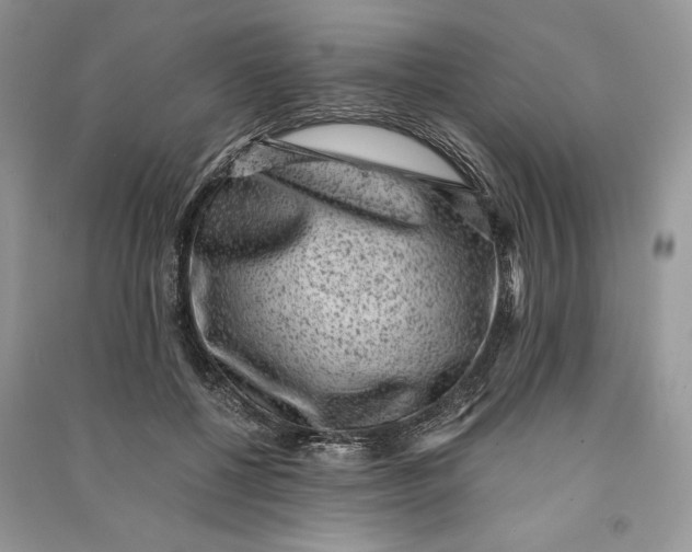 X0000090700552200708101444