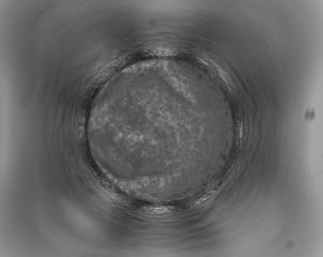 X0000090700553200708101444