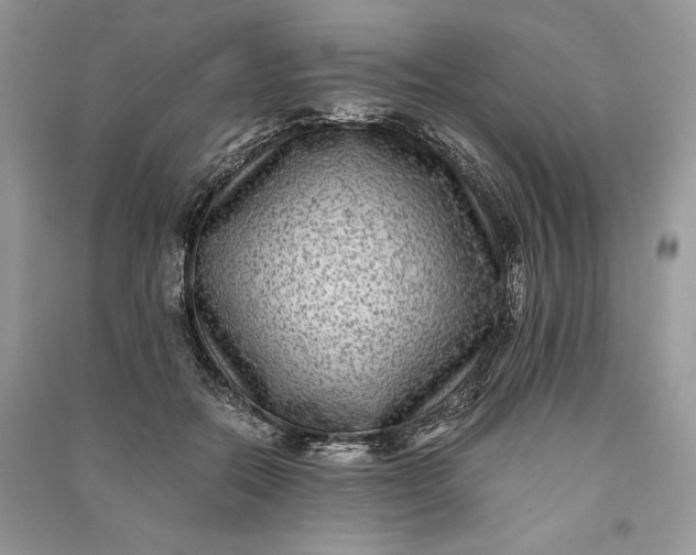 X0000090700554200708101444