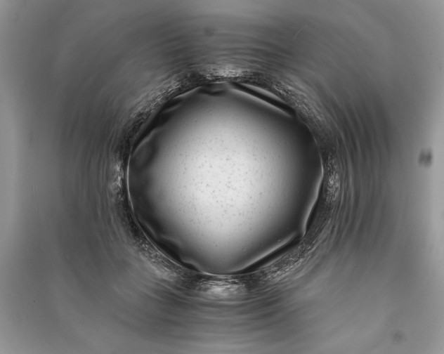 X0000090700555200708101444