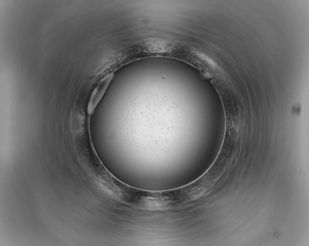X0000090700556200708101444