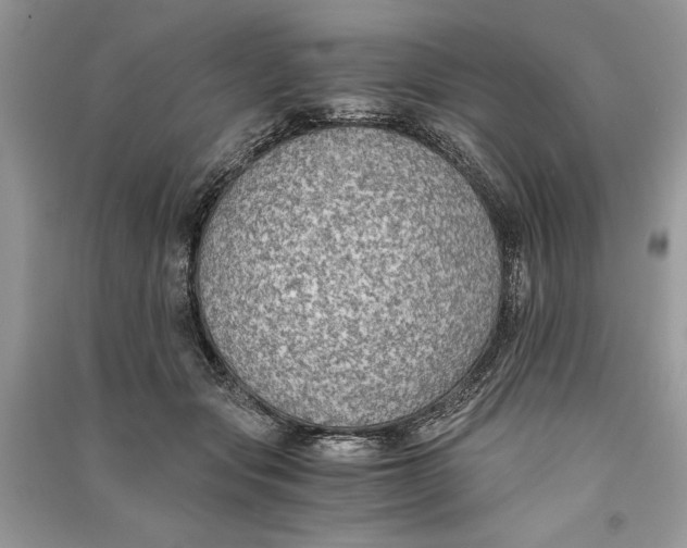 X0000090700557200708101444
