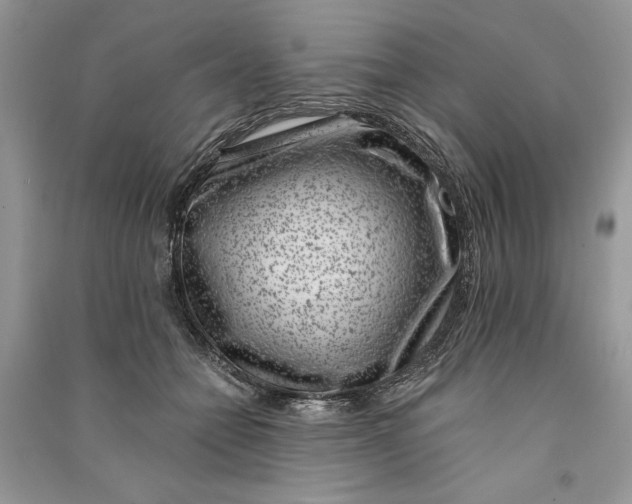 X0000090700558200708101444