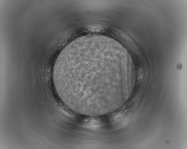 X0000090700559200708101444