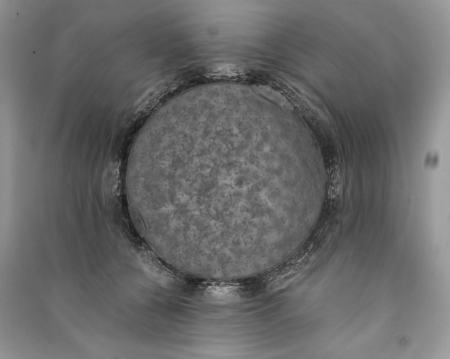 X0000090700560200708101444