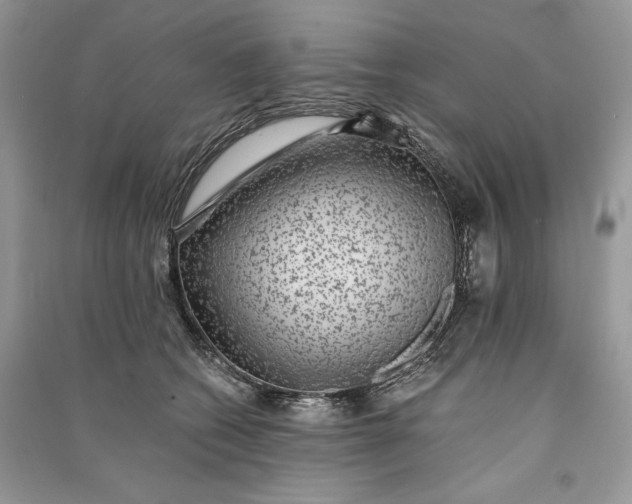 X0000090700562200708101444