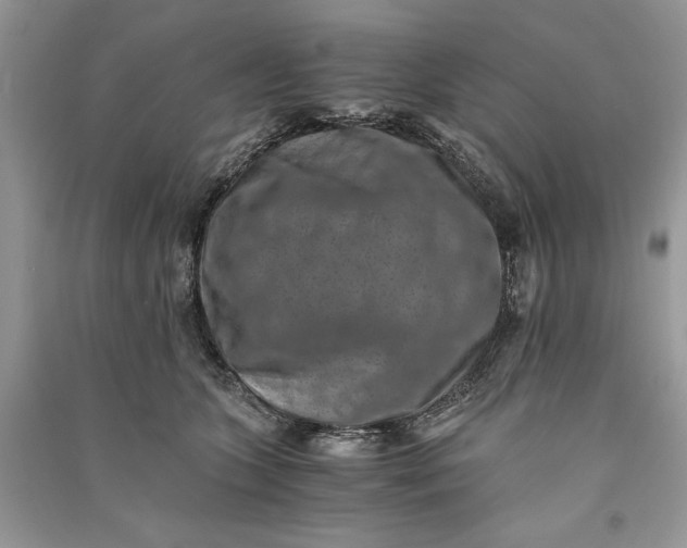 X0000090700563200708101444