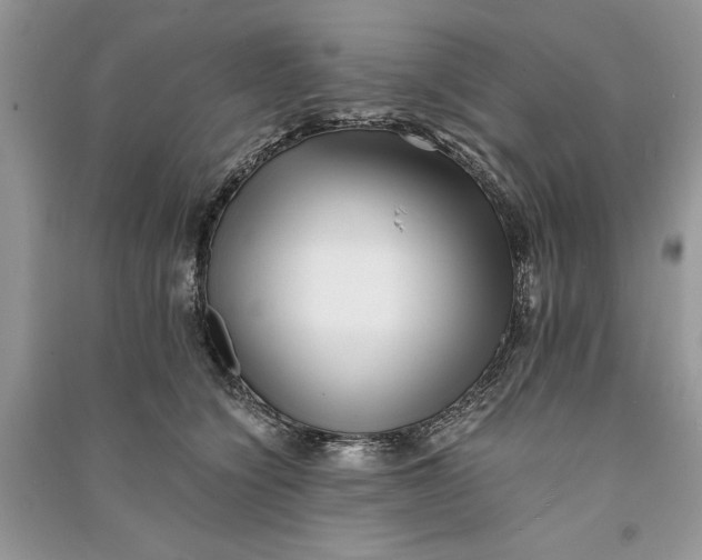X0000090700564200708101444